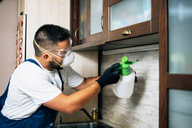 Best Insect Control  in Delano, CA