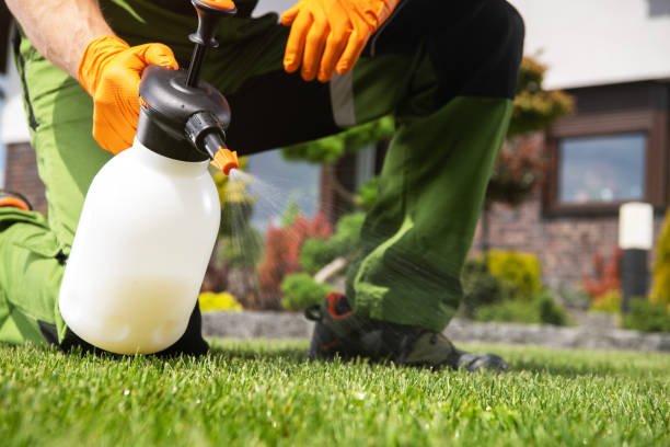 Best Pest Control Treatment  in Delano, CA