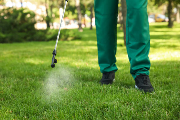 Trusted Delano, CA Pest Control Experts